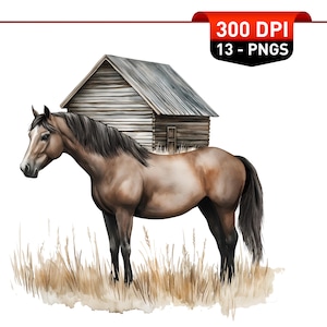 13 Horse Clipart PNG Bundle | Watercolor Farm Animals | Cute Pony Art | Baby Horse PNG | Wild Horse Clipart | No Background Files