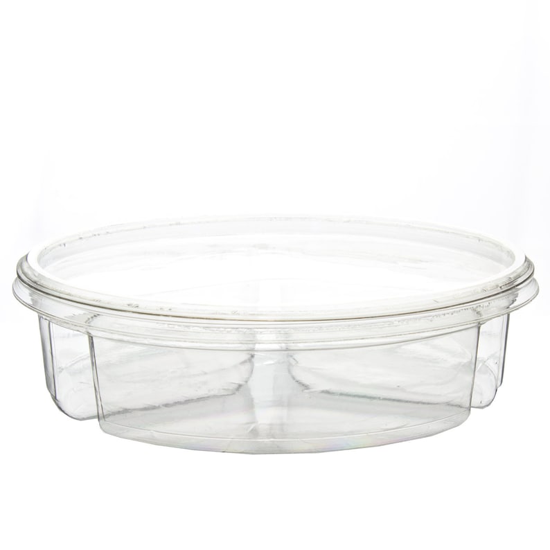 plastic divided containers for food