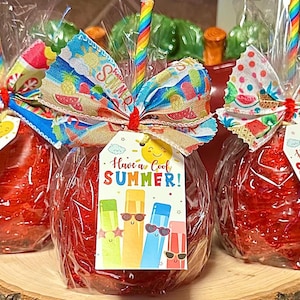 Three (3) LARGE Sweet and Crunchy Homemade Red Candy Coated Apples Orders Can Only Be Processed By Clicking Link In Description Below!