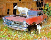 Goat Art Prints, 1965 Pontiac GTO, Sunflowers, Barn, Signed and ...