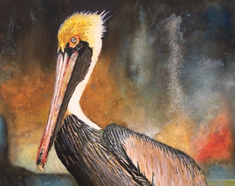 Pelican - Louisiana Brown Pelican Art - Louisiana State Bird - Art Prints - Framed Prints - Canvas Gallery Wrap Prints