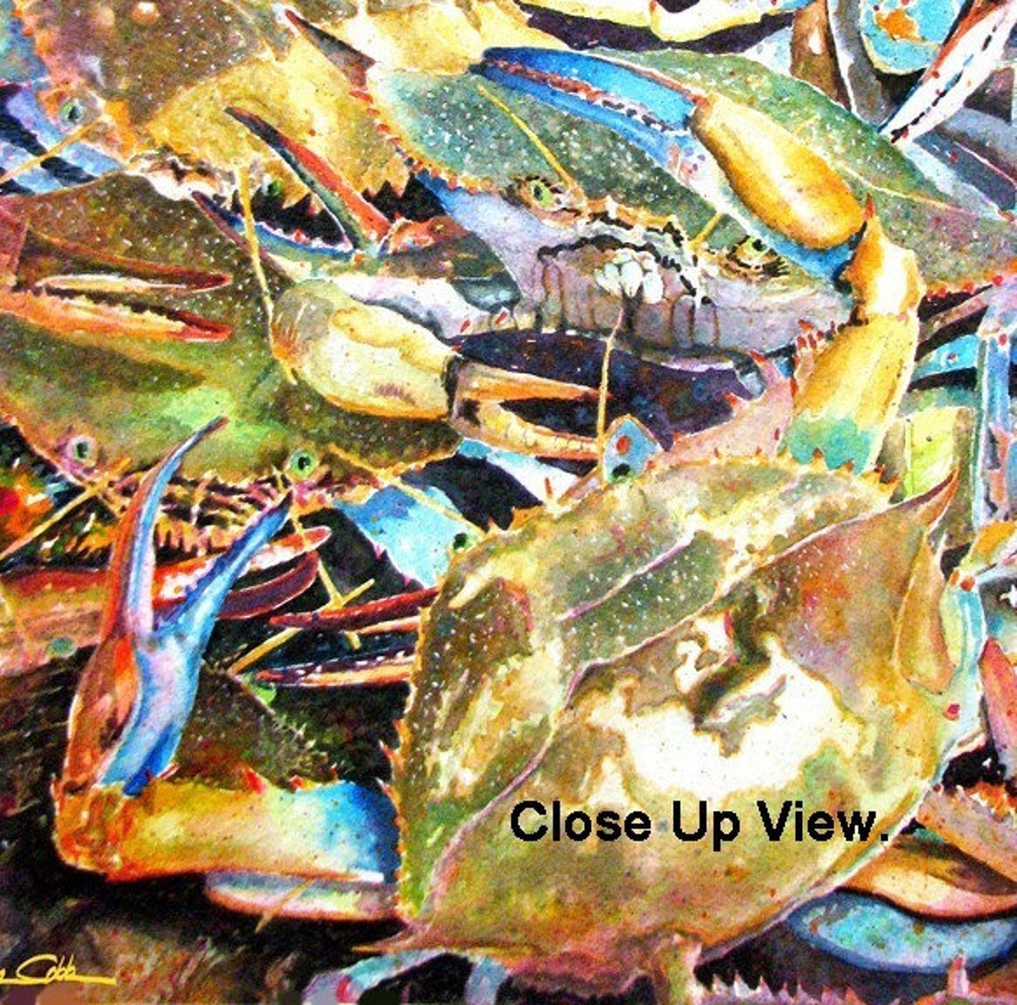 Blue Crab Art Live Blue Crabs Print Signed and | Etsy