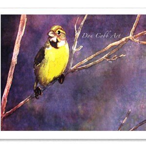 Bird Art Young Meadow Lark Art Prints, Framed Prints, Canvas Gallery Wrap Prints 8x10" Print inches