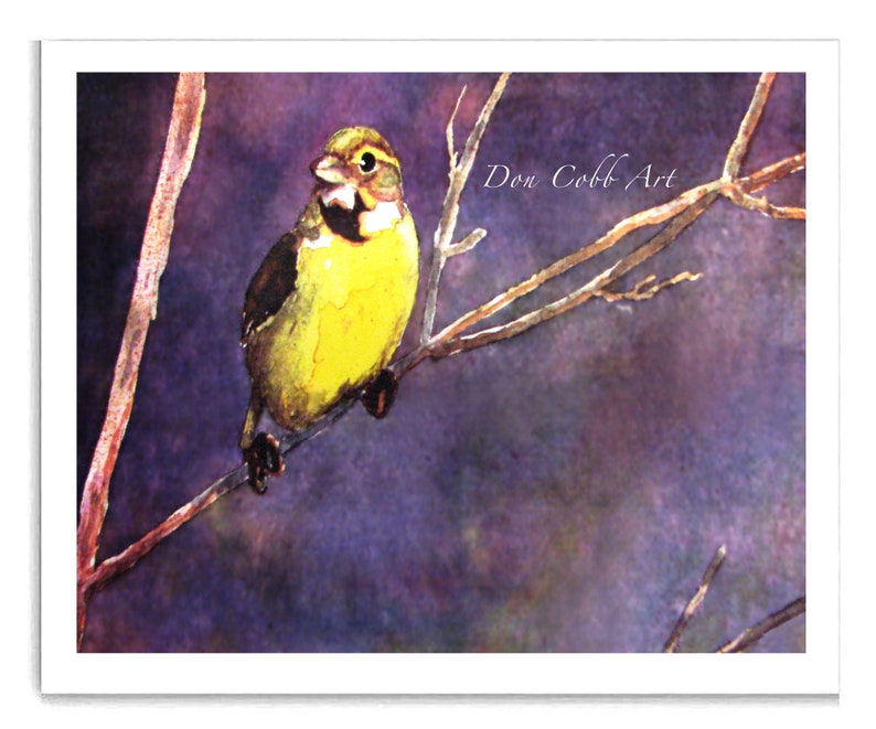 Bird Art Young Meadow Lark Art Prints, Framed Prints, Canvas Gallery Wrap Prints 8x10" Print inches