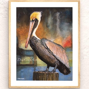 Louisiana Brown Pelican Art - Louisiana State Bird - Signed Art Prints - Framed Prints - Canvas Gallery Wrap Prints