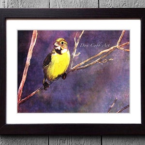 Bird Art Young Meadow Lark Art Prints, Framed Prints, Canvas Gallery Wrap Prints image 2