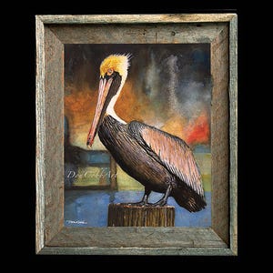 Louisiana Brown Pelican Art, Louisiana State Bird, Signed Art Prints, Barn Wood Framed Prints, Canvas Gallery Wrap Prints