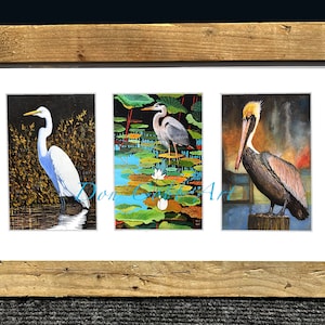 Brown Pelican, Great Blue Heron, Great White Egret, Framed Art Prints, Louisiana Water Birds 18x12 Framed Prints inches