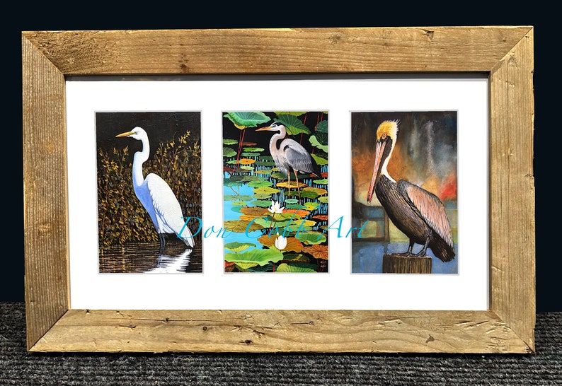 Brown Pelican, Great Blue Heron, Great White Egret, Framed Art Prints, Louisiana Water Birds 18x12 Framed Prints inches