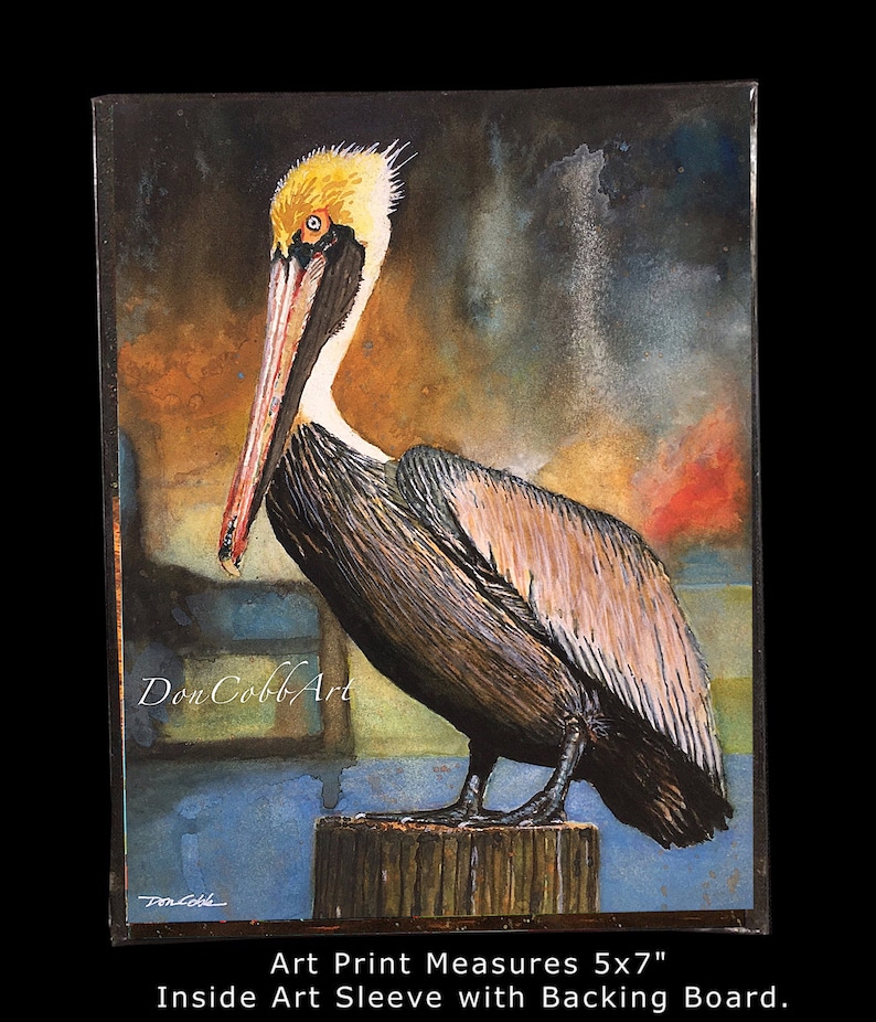 Pelican Louisiana Brown Pelican Art Louisiana State Bird Art Prints Framed Prints Canvas Gallery Wrap Prints 5x7 Art Print inches