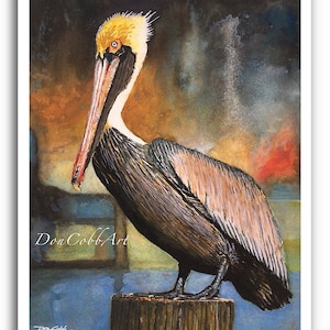 Pelican Louisiana Brown Pelican Art Louisiana State Bird Art Prints Framed Prints Canvas Gallery Wrap Prints 13 x 19" Art Print inches