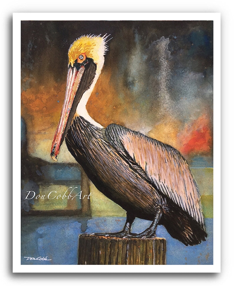 Pelican Louisiana Brown Pelican Art Louisiana State Bird Art Prints Framed Prints Canvas Gallery Wrap Prints 13 x 19" Art Print inches