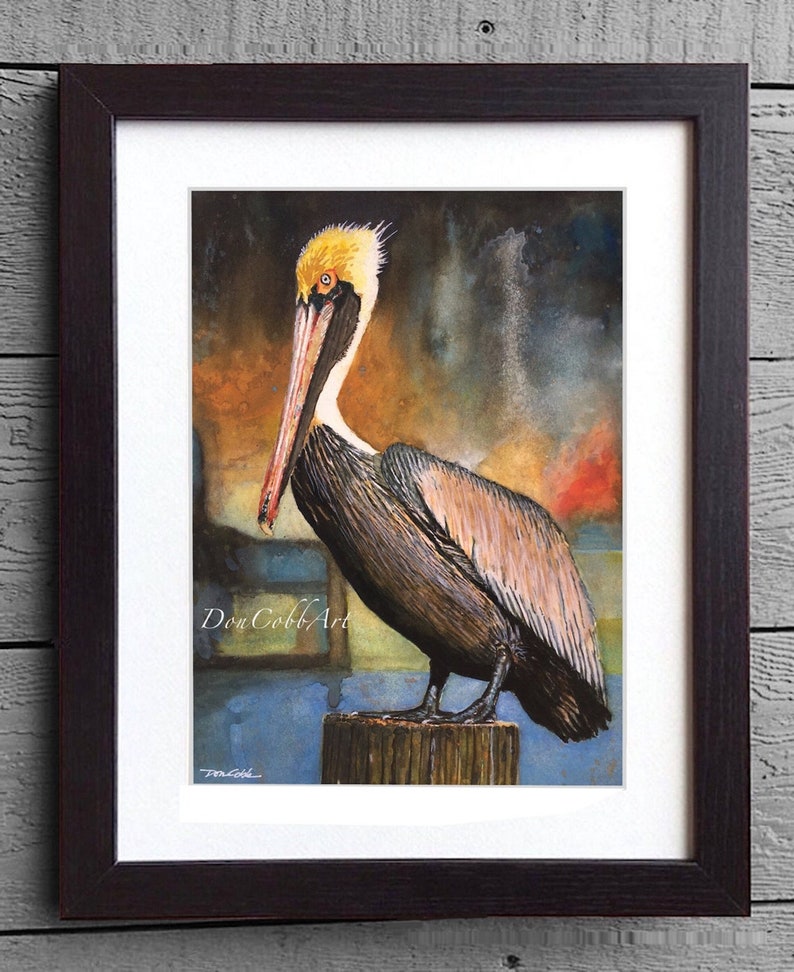 Pelican Louisiana Brown Pelican Art Louisiana State Bird Art Prints Framed Prints Canvas Gallery Wrap Prints image 3