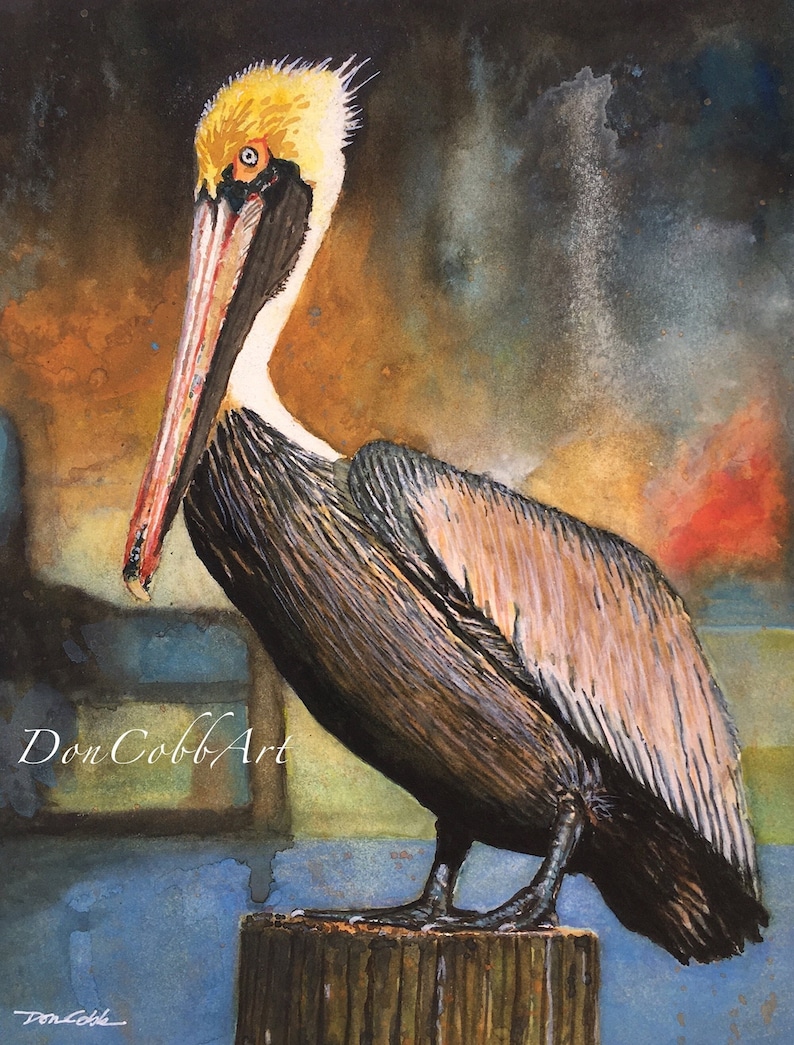 Pelican Louisiana Brown Pelican Art Louisiana State Bird Art Prints Framed Prints Canvas Gallery Wrap Prints 18x24" Big Art Print inches