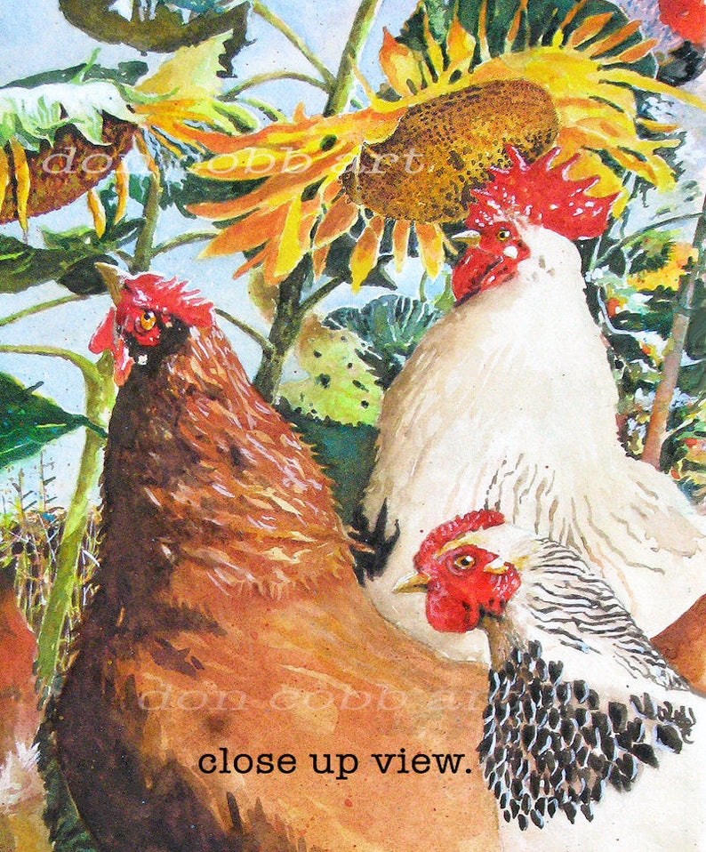 Chickens, Rooster, Sunflowers Art, Sunflower Chickens, Art Prints, Framed Prints, Canvas Gallery Wrap Prints image 9