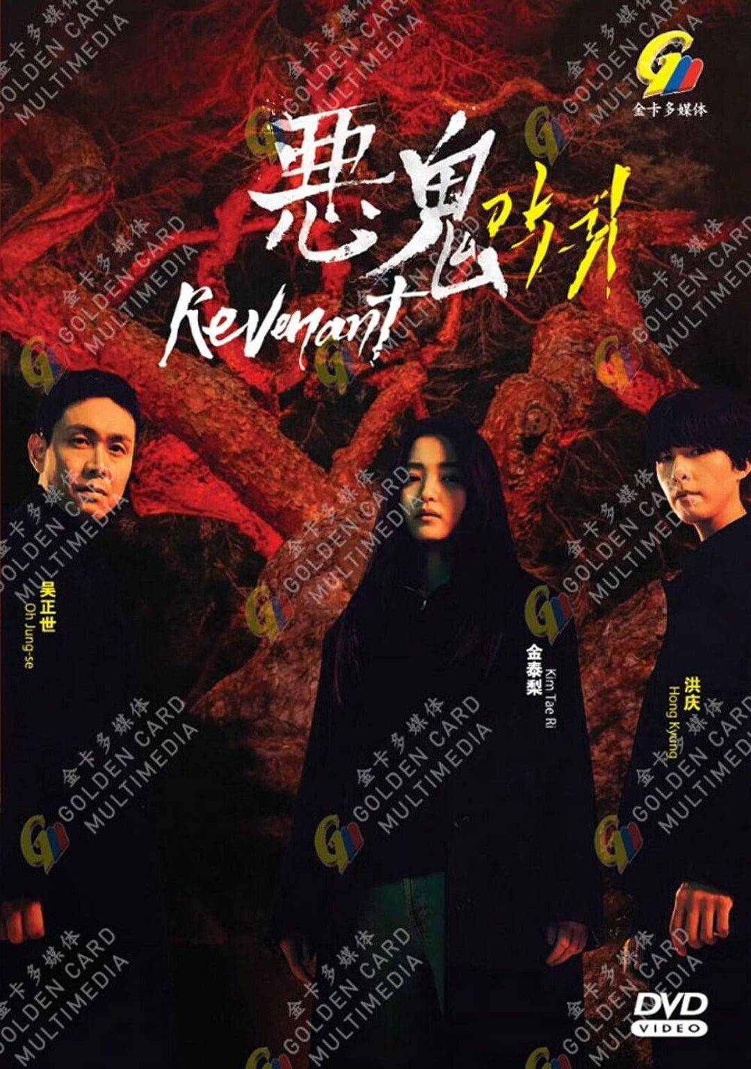 DVD Korean Drama Revenant Eps 1-12 END English Subtitle All Region