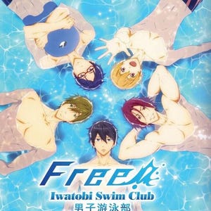 Anime DVD~Doppiato in inglese~ Iwatobi Swim Club Stagione completa 1+2+3 (1-37)+Film - Spedizione gratuita negli USA tramite DHL Express