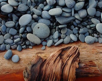 BEACH PEBBLES and DRIFTWOOD note cards set of 6