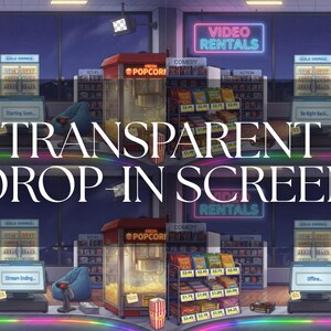 Animated Stream Screens | Retro VHS Video Rental Store Interior ...