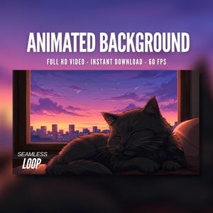 Animated Background | Cat Sleeping by Sunset Window | Cozy Apartment View | Calm Night Cityscape | MP4 Digital Download for Streaming | AB11