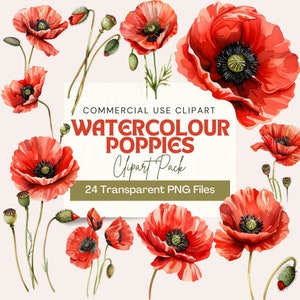 Clipart de haute qualité aquarelle de coquelicots | 24 fichiers PNG transparents, téléchargement numérique, usage commercial, art mural, motifs coquelicots, créations manuelles