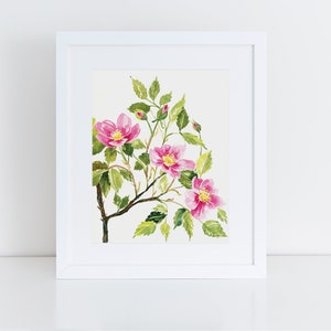 Prairie Rose Watercolor Painting: Botanical Art Print