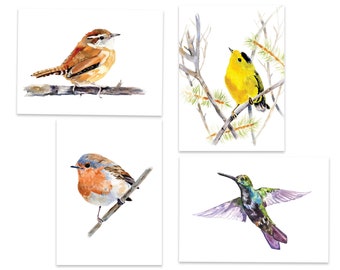 May include: Four watercolor paintings of birds on branches. The first painting shows a brown wren perched on a branch. The second painting shows a yellow warbler perched on a branch. The third painting shows a robin perched on a branch. The fourth painting shows a hummingbird in flight.