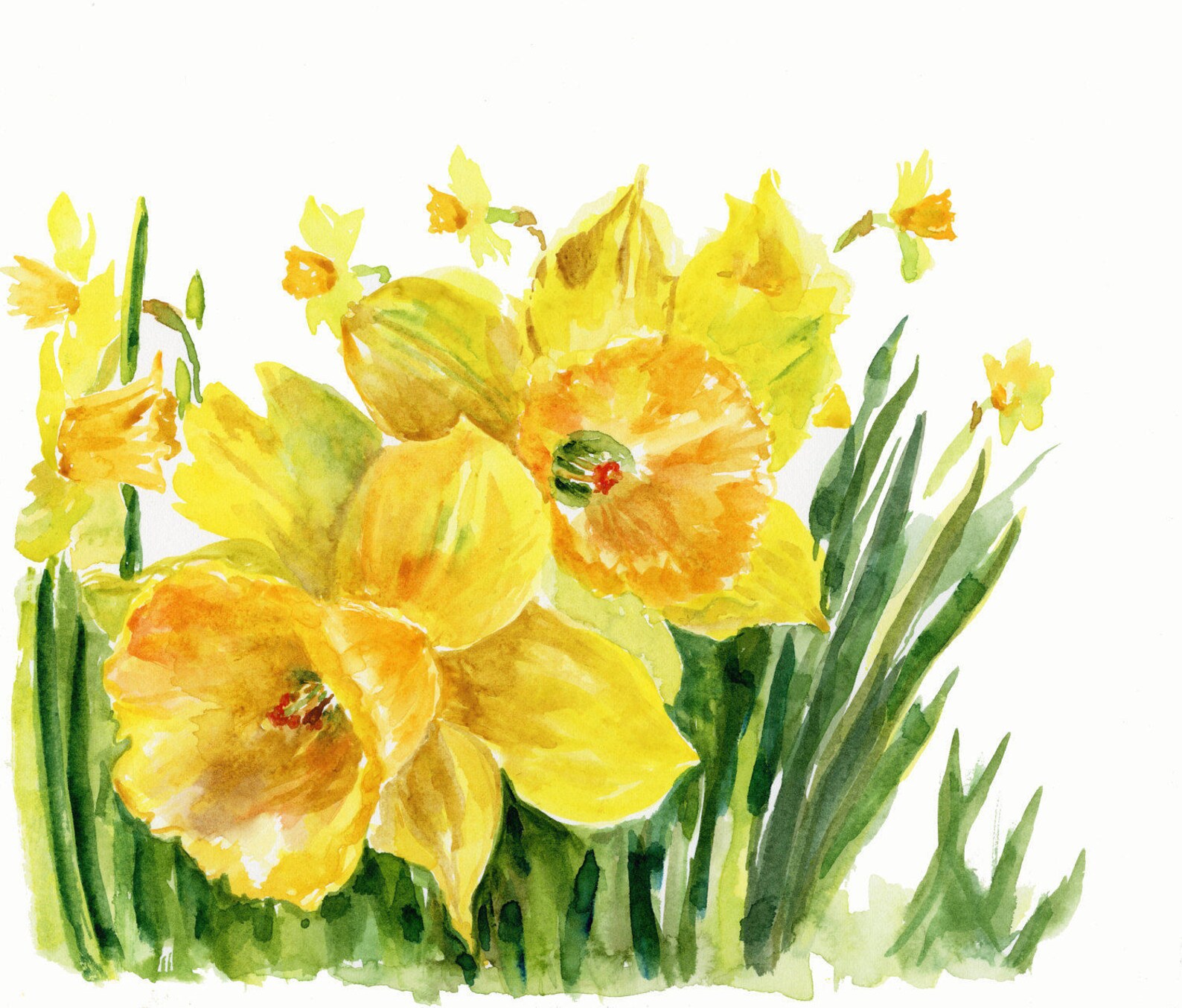 Daffodil Art Print Floral Art Wall Decor Etsy