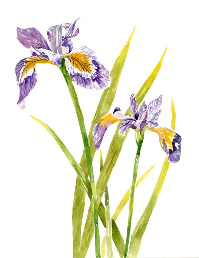 Flower Card l Iris Card l Wildflowers l Watercolors l All Occasion l Blank Inside image 2