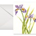 see more listings in the Flower Cards section