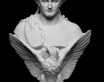 May include: A white bust sculpture of a man wearing a laurel wreath, with an eagle spreading its wings below. The sculpture has a shield on the left side and is set against a black background.