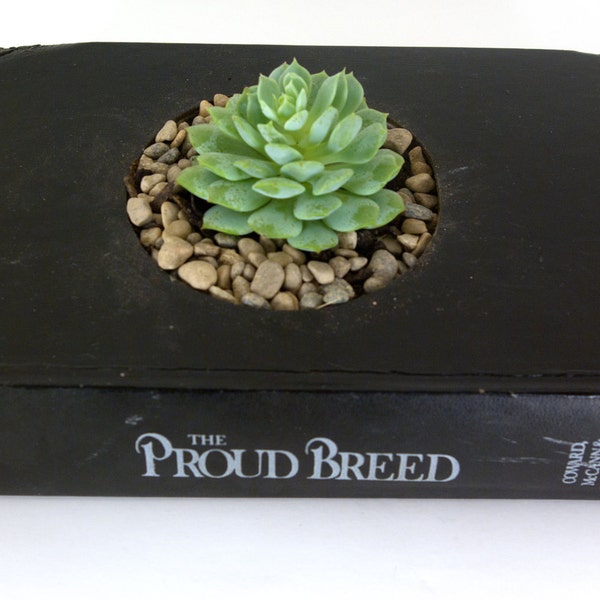 Book Planter - Hollow Book Safe - Cashelmara (succulent NOT included)