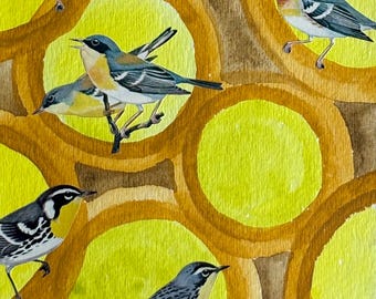Birds 1