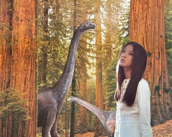 These trees are boring