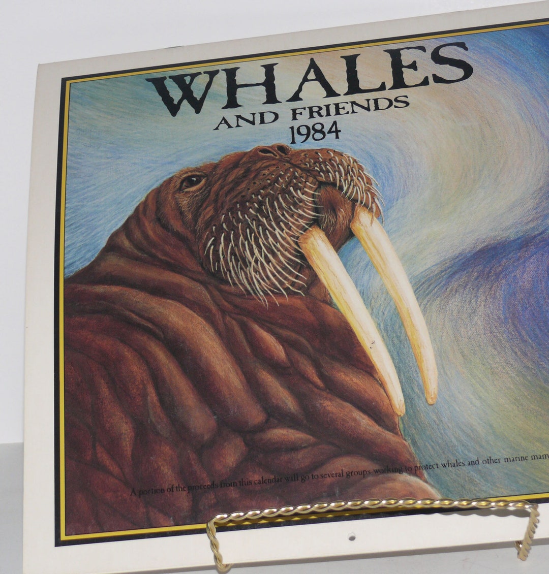 Whales and Friends 1984 Calendar Etsy