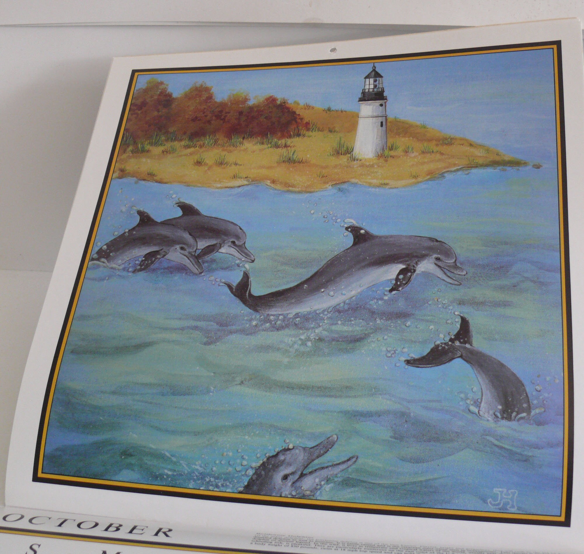 Whales 1983 Calendar Whales and Friends Frameable Artwork Etsy