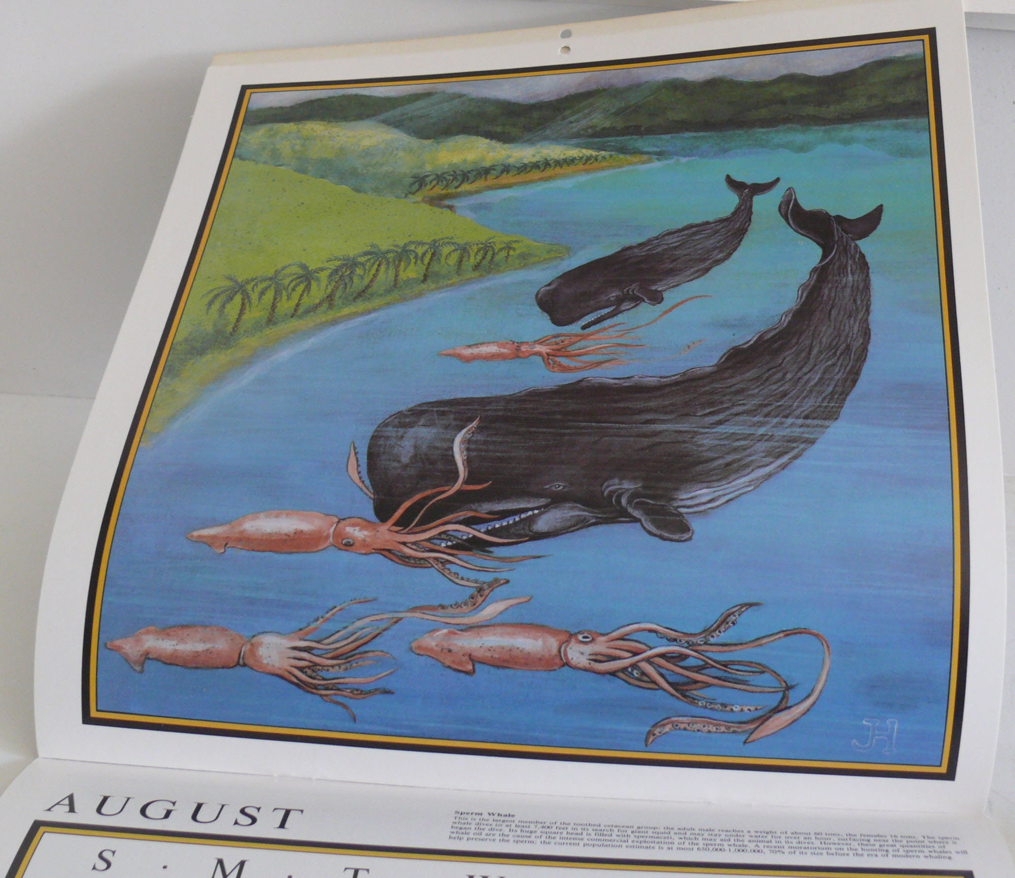 Whales 1983 Calendar Whales and Friends Frameable Artwork Etsy