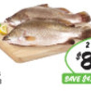 Pode incluir: Dois peixes de robalo frescos em uma t&aacute;bua de cortar de madeira. Os peixes s&atilde;o prateados com escamas cinza escuro. O pre&ccedil;o &eacute; de 8,80 &euro; por dois. O texto "Robalo ERA 13 &euro;" est&aacute; abaixo dos peixes.