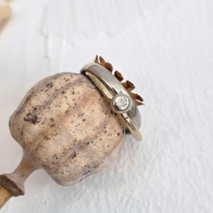 Könnte beinhalten: Zwei silberne Ringe, einer mit einem kleinen, klaren Edelstein, liegen auf einer getrockneten Samenkapsel. Die Ringe haben ein schlichtes, elegantes Design. Die Samenkapsel ist hellbraun mit dunkleren braunen Flecken.