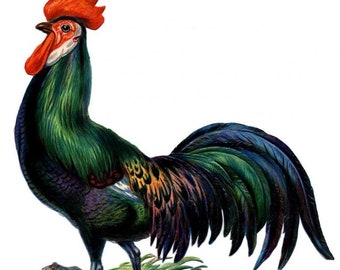 Ar an bhFeirm- Auf dem Bauernhof - Irisch Lernpaket