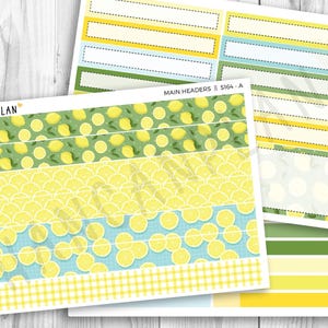 S-164 || Daily Duo 7x9 + Vertical compact 7x9 | Limonade | Kit Erin Condren