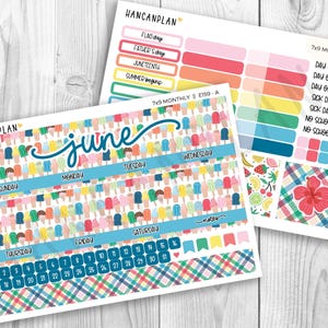 E-159 || 7x9 JUNE Monthly | Dive In | Planner Kit | Erin Condren Kit