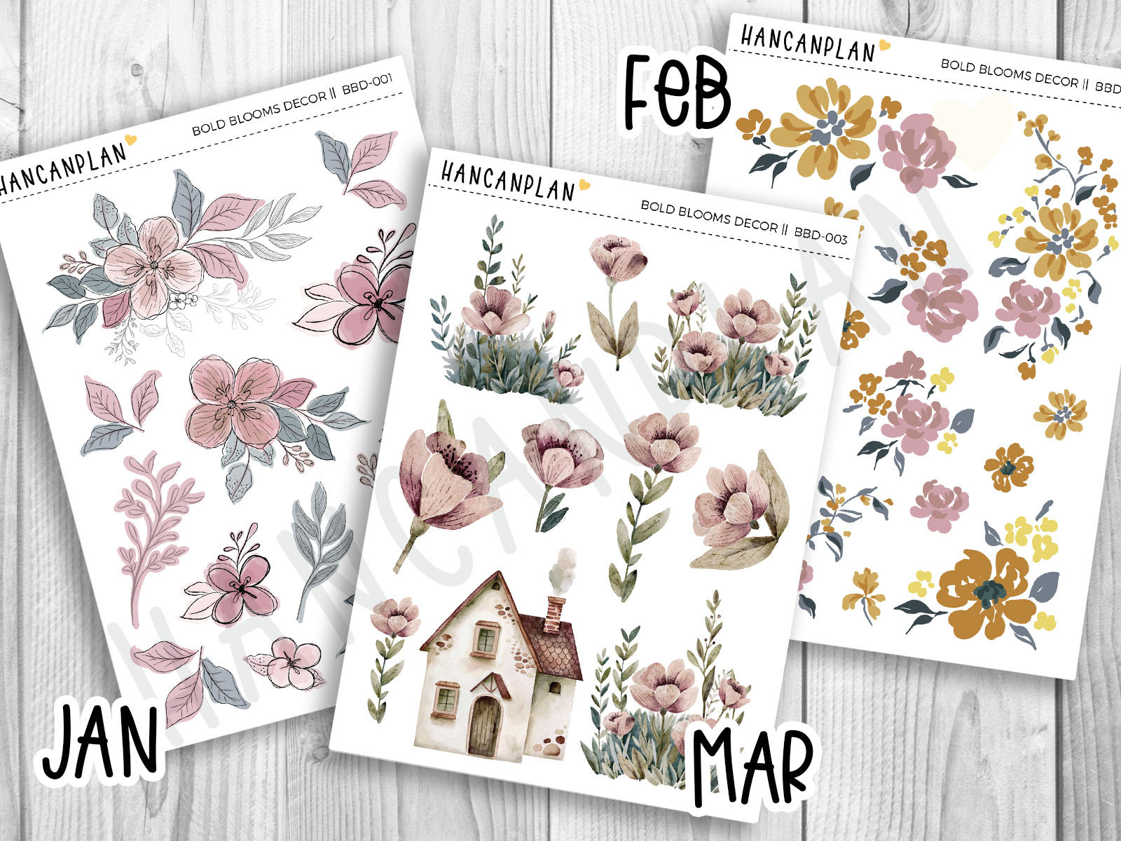 BBD - EC Bold Blooms - Juego de decoración a juego de 12 meses / Erin Condren