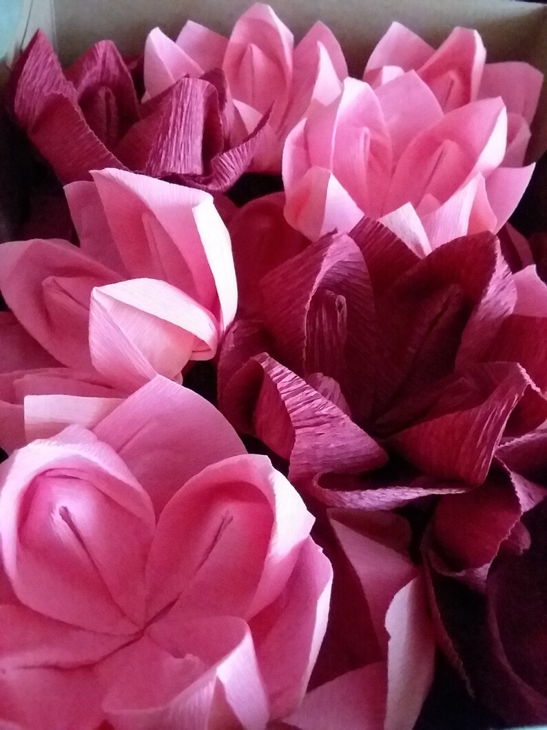 May include: A collection of pink and burgundy paper flowers. The flowers are made of crinkled tissue paper and have a delicate, feminine look.