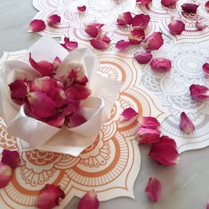 May include: A white paper cone filled with dried rose petals sits on a white and orange mandala design. The mandala is surrounded by more rose petals.