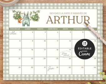 Calendrier imprimable pour shower de bébé, modèle Canva, français, prédiction de naissance, baby shower, Cultivé avec amour, garçon, EV006
