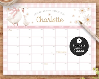 Calendrier imprimable shower de bébé, modèle Canva, français, prédiction de naissance, baby shower, Petite oie blanche, rose, fille, EV005