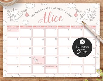 Ondoordringbare gietdouche met kalender, canva-model, français, prédiction de naissance, babyshower, cigogneroos, fille, BO001
