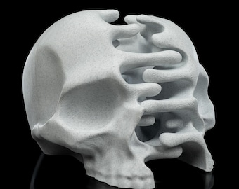 May include: A light gray, abstract skull sculpture with a unique, open design. The skull's form is partially deconstructed, with flowing, organic shapes replacing sections of the bone. The sculpture is set against a black background, highlighting its form.