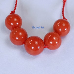 6.3mm-7mm Undyed Mediterranean Sardinia Tomato Red Coral Round Beads (5 beads) or (70 beads)